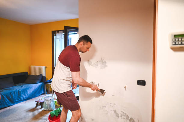 Best Toxic Mold Removal  in Rio Linda, CA